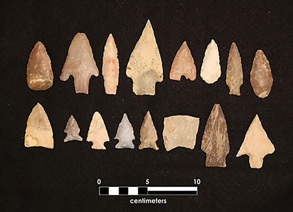 Sixteen projectile points recovered at the site.
