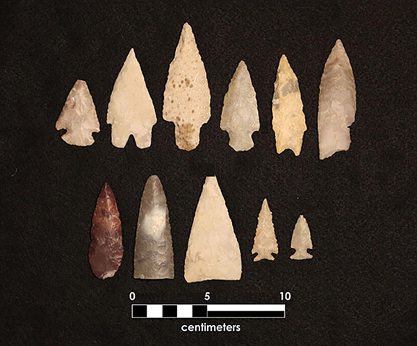 Eleven projectile points recovered from the site.