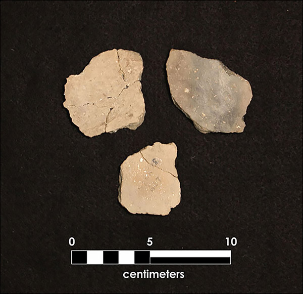 Samples of ceramic fragments found at the site.