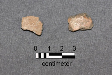 Ceramic fragments recovered from site.