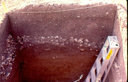 Close up of excavation at Olmos dig site