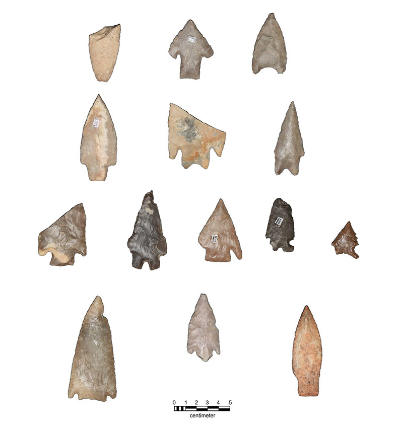 Display of multiple projectile points found at the Olmos site