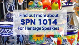 Find out more about SPN 1014 for Heritage Speakers