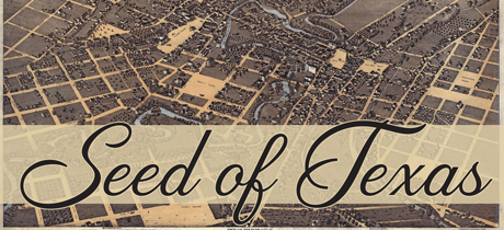 Bird’s Eye view of San Antonio created by Alexander Koch in 1873