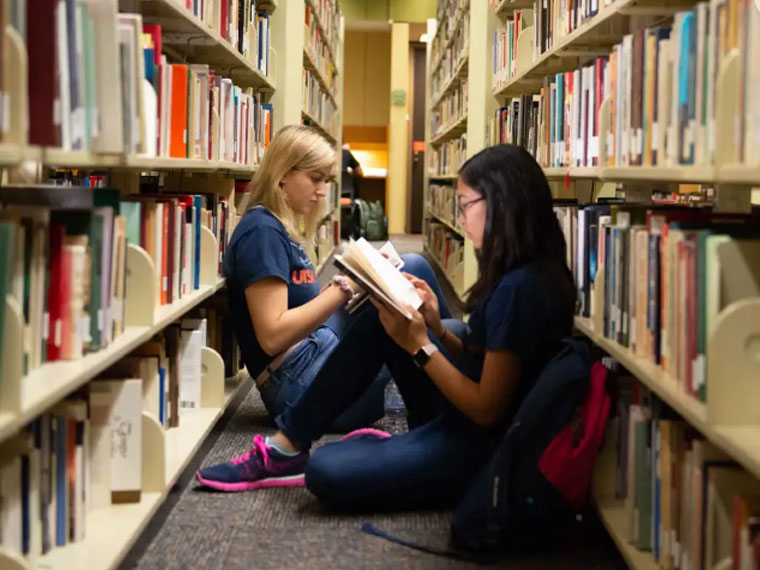 Students in library
